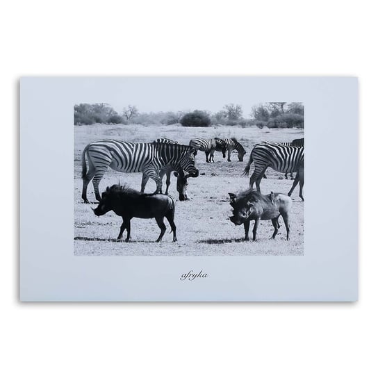 Obraz na płótnie FEEBY, Afryka Sawanna Zwierzęta 120x80 Feeby