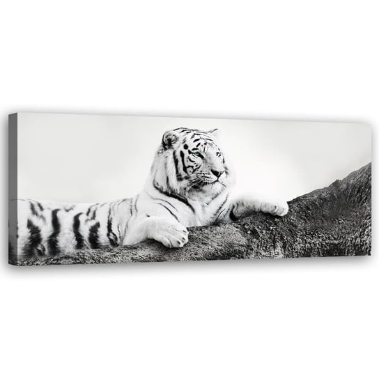 Obraz na płótnie FEEBY, Afryka Tygrys Zwierzęta 120x40 Feeby