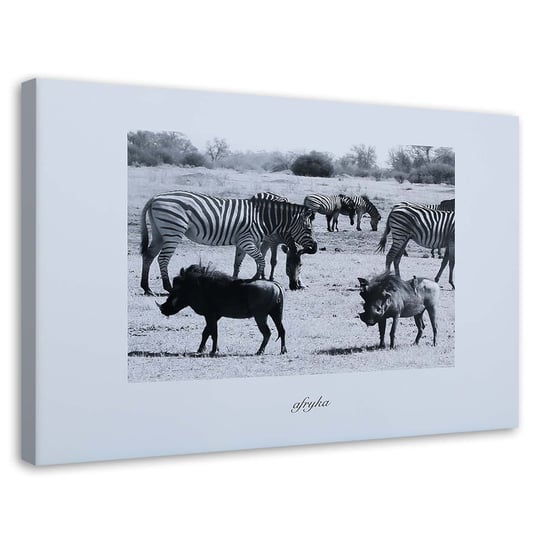Obraz na płótnie FEEBY, Afryka - zebry na sawannie 60x40 Feeby