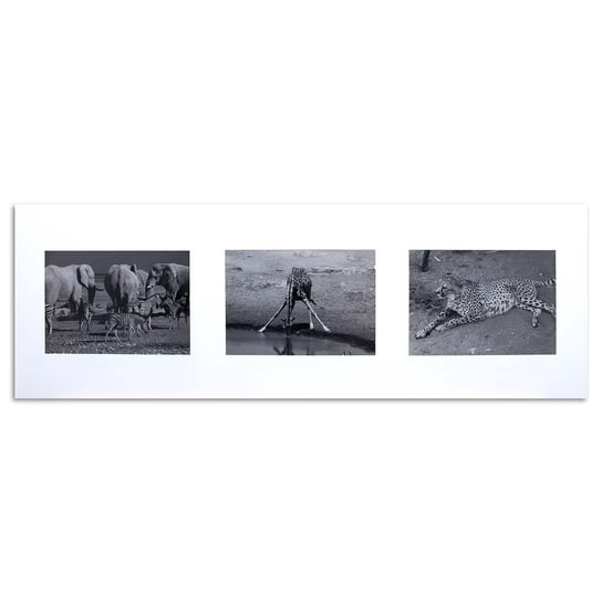 Obraz na płótnie FEEBY, Afryka Zwierzęta czarno Biały 120x40 Feeby