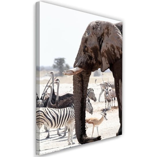 Obraz na płótnie FEEBY, Afryka zwierzęta natura 80x120 Feeby