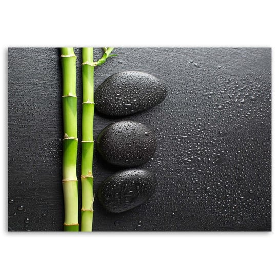 Obraz na płótnie FEEBY, Bambus Zen Kamienie Czarny 100x70 Feeby