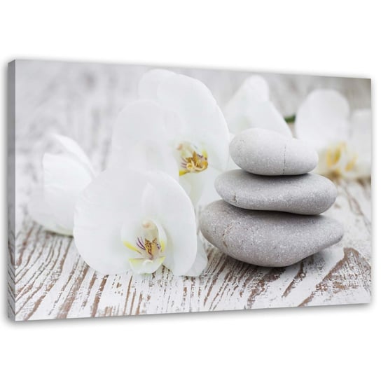 Obraz na płótnie FEEBY, Biała orchidea i kamienie 60x40 Feeby