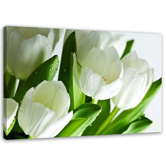 Obraz na płótnie FEEBY, Białe tulipany 90x60 Feeby
