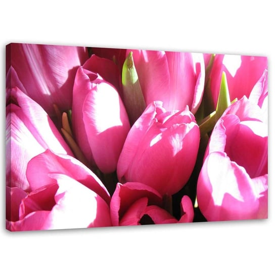 Obraz na płótnie FEEBY, Bukiet różowych tulipanów 60x40 Feeby