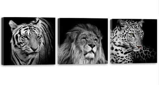 Obraz na płótnie FEEBY Canvas, Afryka zwierzęta czarno białe, 90x30 cm Feeby