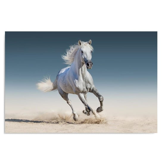 Obraz na płótnie FEEBY Canvas, Koń w galopie, 40x60 cm Feeby