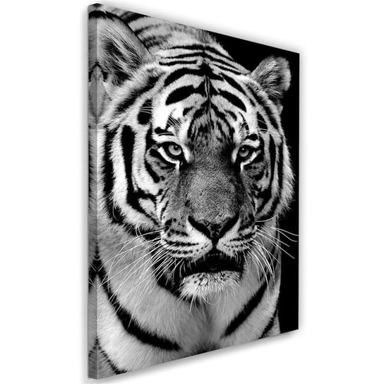 Obraz na płótnie FEEBY, Czarno-biały tygrys 40x60 Feeby