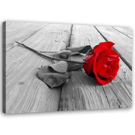 Obraz na płótnie FEEBY, Czerwona Róża na Deskach 60x40 Feeby