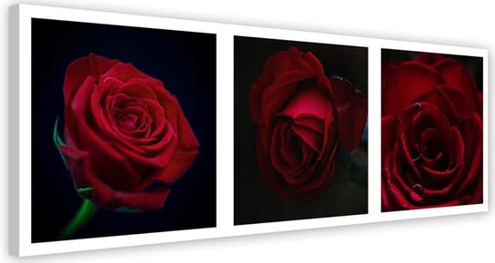 Obraz na płótnie FEEBY, Czerwone Róże Zestaw 140x45 Feeby