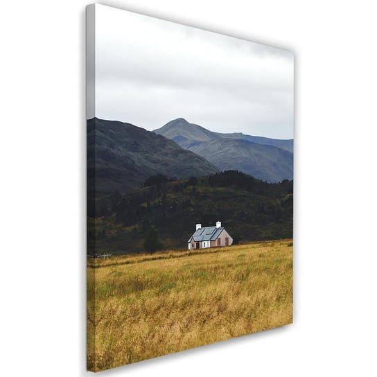 Obraz na płótnie FEEBY, Dom Góry Pole Krajobraz obraz 40x60 Feeby
