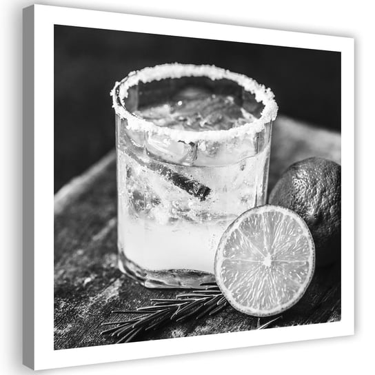 Obraz na płótnie FEEBY, Drinki z lodem czarno biały 30x30 Feeby