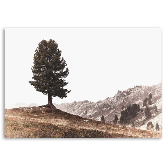 Obraz na płótnie FEEBY, Drzewo Góry Natura 100x70 Feeby