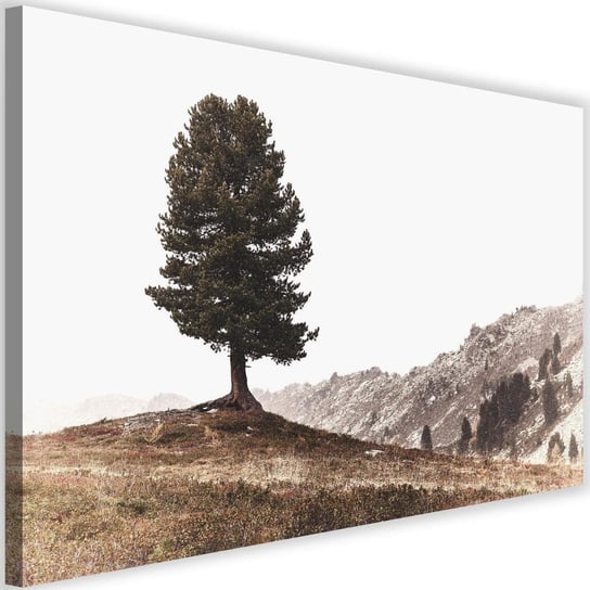 Obraz na płótnie FEEBY, Drzewo Góry Natura 90x60 Feeby
