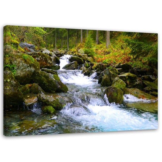 Obraz na płótnie FEEBY, Górski potok w zieleni 100x70 Feeby