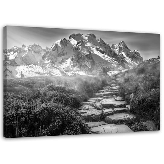 Obraz na płótnie FEEBY, Kamienna droga na szczyt - czarno-biały 60x40 Feeby