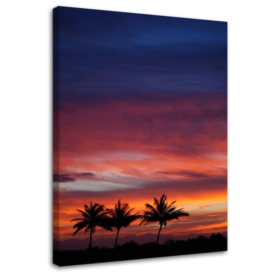Obraz na płótnie FEEBY, Kolorowe niebo i palmy 80x120 Feeby