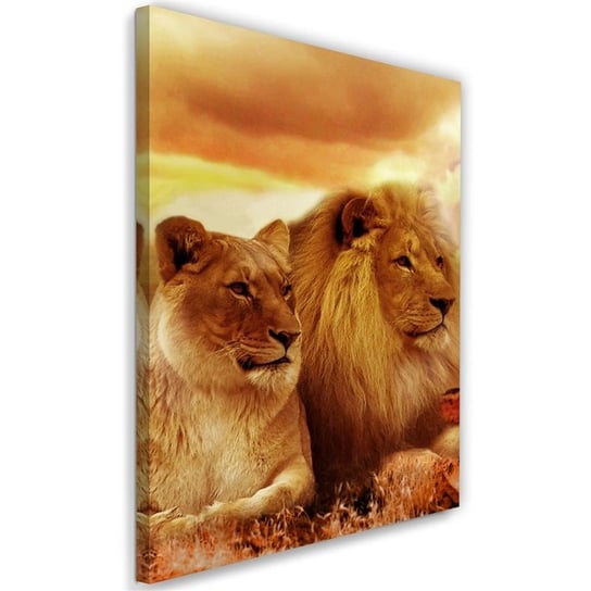 Obraz na płótnie FEEBY, Król lew i lwica 70x100 Feeby