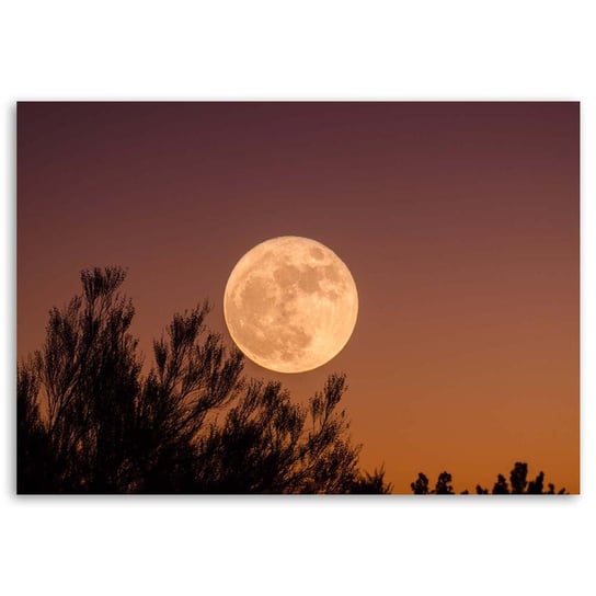 Obraz na płótnie FEEBY, Księżyc Pełnia Drzewa 100x70 Feeby