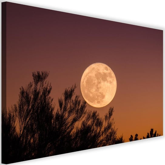 Obraz na płótnie FEEBY, Księżyc Pełnia Drzewa 90x60 Feeby