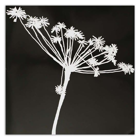 Obraz na płótnie FEEBY, Kwiat Czarno Biały Natura 60x60 Feeby
