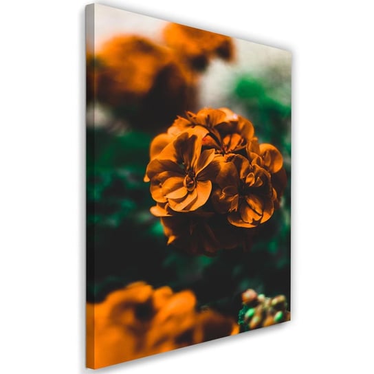 Obraz na płótnie FEEBY, Kwiat Pomarańczowy Roślina 80x120 Feeby