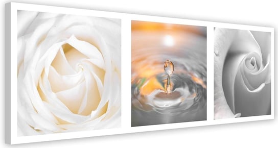 Obraz na płótnie FEEBY, Kwiaty Białe Róże zestaw 140x45 Feeby