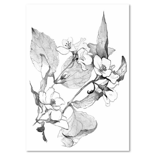 Obraz na płótnie FEEBY, Kwiaty Czarno Biały Natura 60x80 Feeby