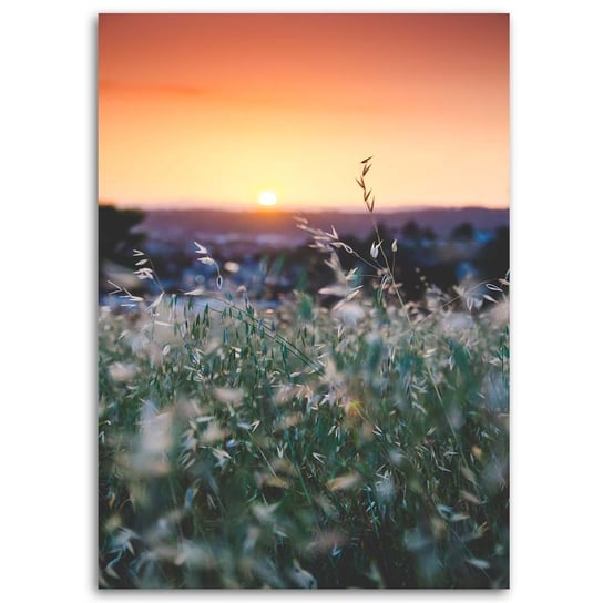 Obraz na płótnie FEEBY, Łąka Zachód Słońca Natura 70x100 Feeby