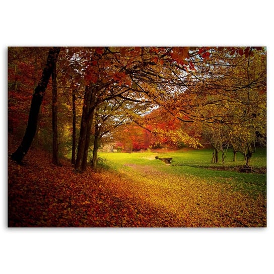 Obraz na płótnie FEEBY, Las polana liście jesień 100x70 Feeby