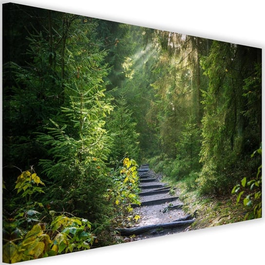Obraz na płótnie FEEBY, Las zielony Krajobraz obraz 120x80 Feeby