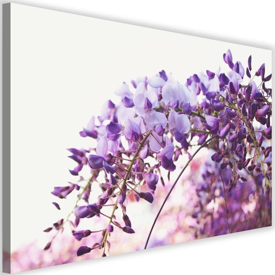 Obraz na płótnie FEEBY, Liliowy Kwiat Glicynii 90x60 Feeby