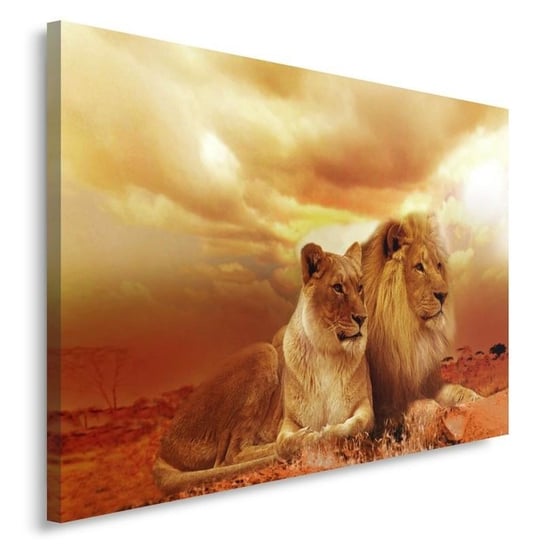 Obraz na płótnie FEEBY, Lwy Zwierzęta Afryka brązowy 90x60 Feeby