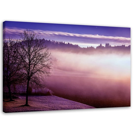 Obraz na płótnie FEEBY, Mgła nad jeziorem 60x40 Feeby