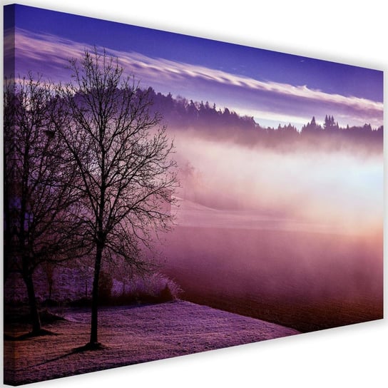 Obraz na płótnie FEEBY, Mgła nad Jeziorem fiolet 90x60 Feeby