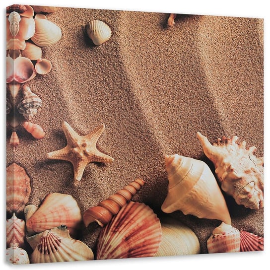 Obraz na płótnie FEEBY, Muszelki na suchym piasku 50x50 Feeby
