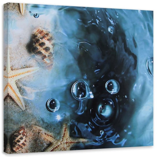 Obraz na płótnie FEEBY, Muszelki w błękitnej wodzie 40x40 Feeby