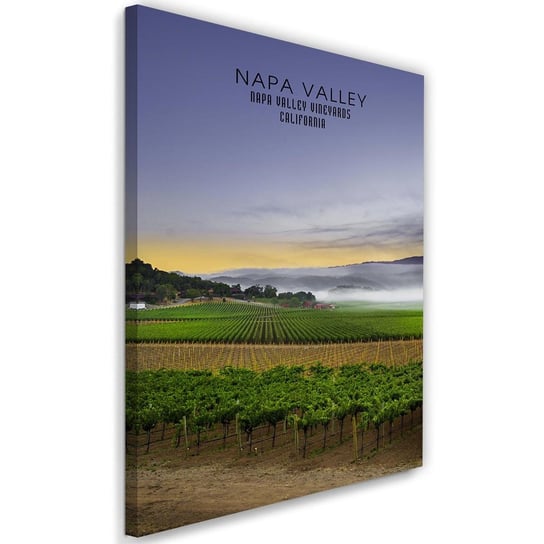 Obraz na płótnie FEEBY, Napa Valley Krajobraz obraz 60x90 Feeby