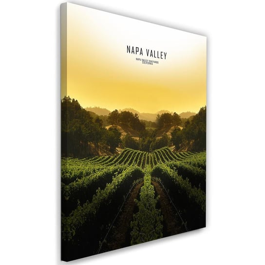 Obraz na płótnie FEEBY, Napa Valley Krajobraz obraz 80x120 Feeby