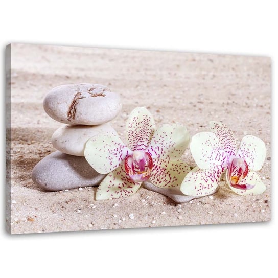 Obraz na płótnie FEEBY, Orchidea i kamienie na piasku 100x70 Feeby