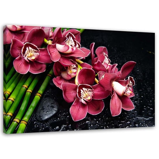 Obraz na płótnie FEEBY, Orchidea na bambusie 60x40 Feeby