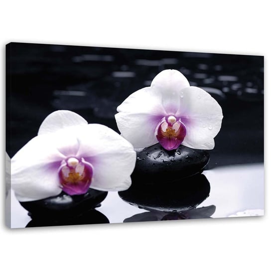 Obraz na płótnie FEEBY, Orchidea w stylu zen 60x40 Feeby