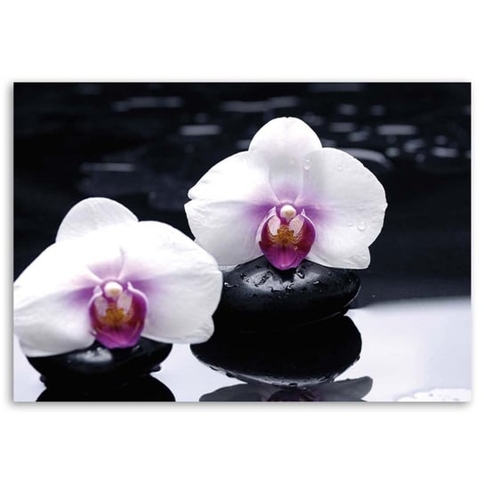 Obraz na płótnie FEEBY, Orchidea Zen Kamienie 60x40 Feeby