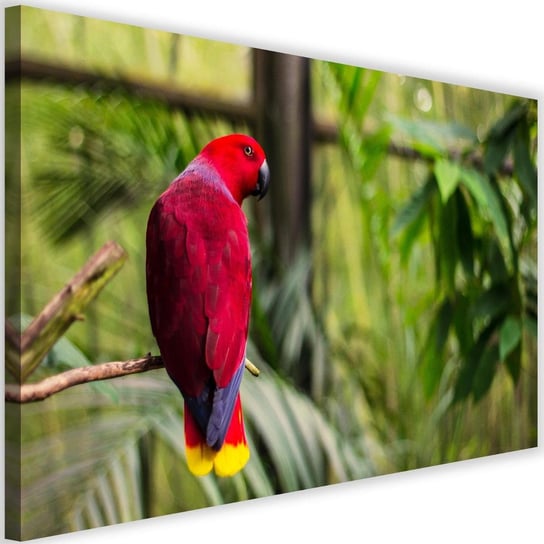 Obraz na płótnie FEEBY, Papuga Raj Ptaki Natura 120x80 Feeby