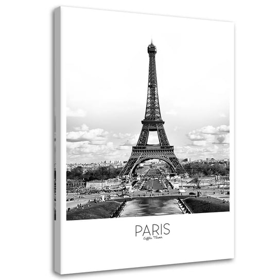 Obraz na płótnie FEEBY, Paryż - Wieża Eiffla 60x90 Feeby