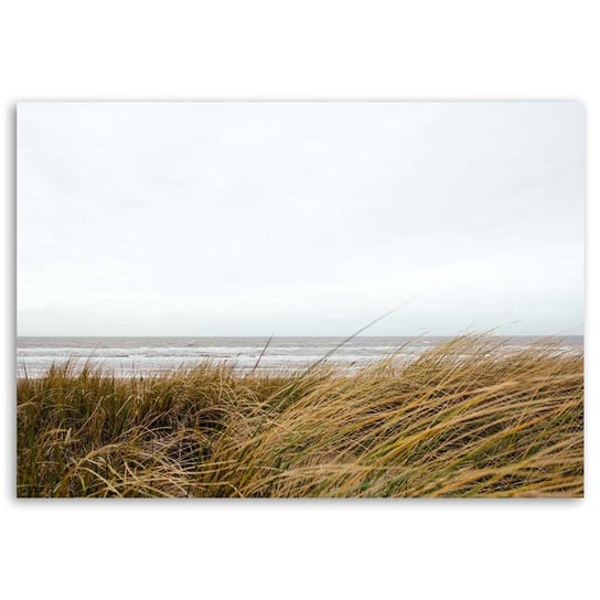 Obraz na płótnie FEEBY, Plaża Trawa Natura Wydmy 100x70 Feeby