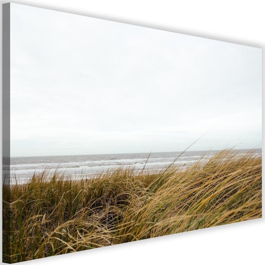 Obraz na płótnie FEEBY, Plaża Trawa Natura Wydmy 90x60 Feeby