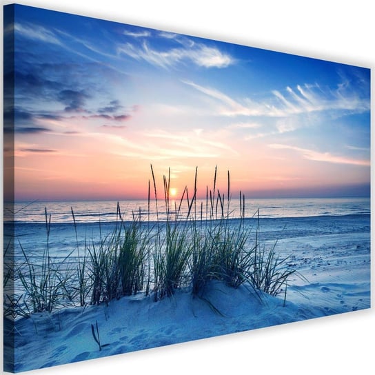 Obraz na płótnie FEEBY, Plaża trawy wydmy morze 60x40 Feeby