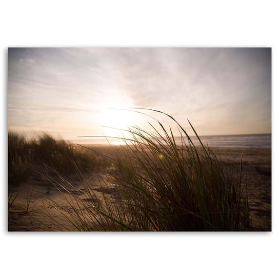 Obraz na płótnie FEEBY, Plaża Trawy Zachód Słońca 100x70 Feeby