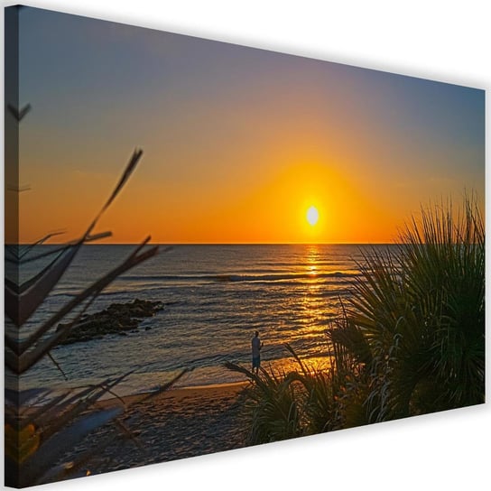 Obraz na płótnie FEEBY, Plaża trawy zachód słońca 60x40 Feeby